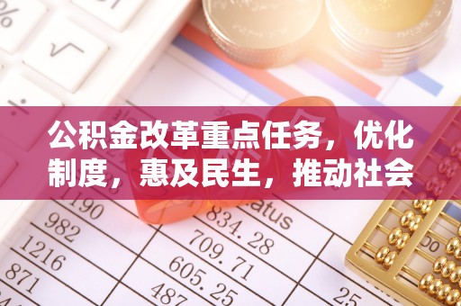 新埤公积金改革重点任务，优化制度，惠及民生，推动社会公平发展
