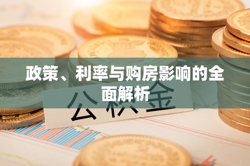 新埤政策、利率与购房影响的全面解析