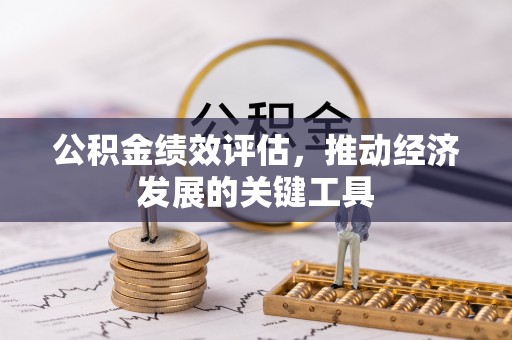 新埤公积金绩效评估，推动经济发展的关键工具