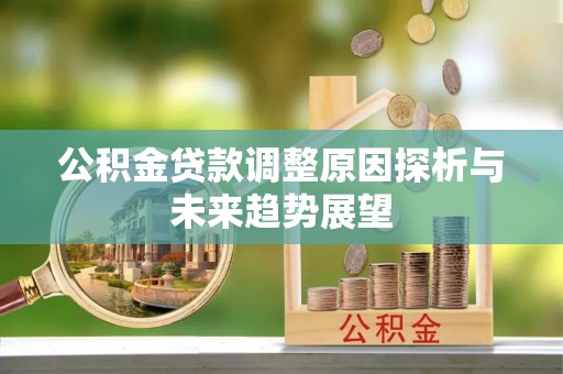 新埤公积金贷款调整原因探析与未来趋势展望