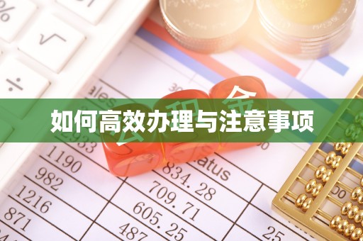 新埤如何高效办理与注意事项