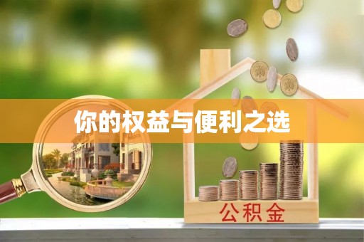 新埤你的权益与便利之选