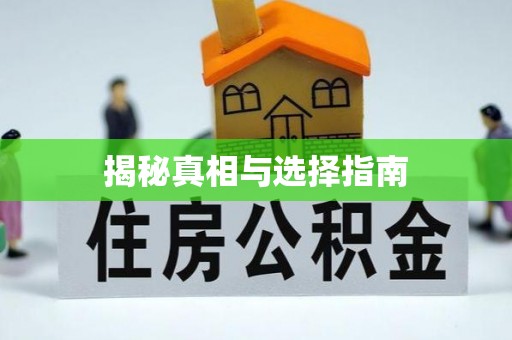 新埤揭秘真相与选择指南