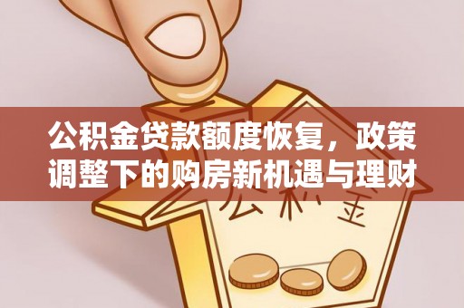 新埤公积金贷款额度恢复，政策调整下的购房新机遇与理财规划