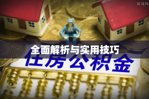 新埤全面解析与实用技巧