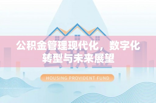 新埤公积金管理现代化，数字化转型与未来展望