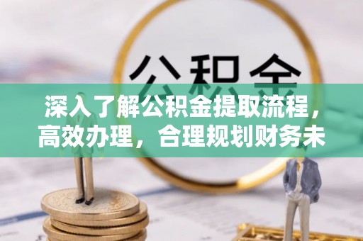 新埤深入了解公积金提取流程，高效办理，合理规划财务未来