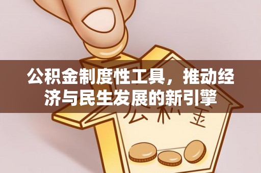 新埤公积金制度性工具，推动经济与民生发展的新引擎