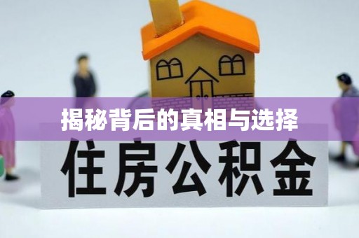 新埤揭秘背后的真相与选择