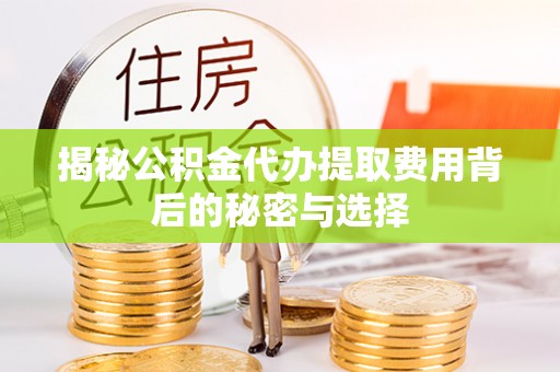新埤揭秘公积金代办提取费用背后的秘密与选择