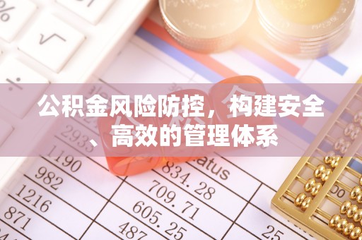 新埤公积金风险防控，构建安全、高效的管理体系