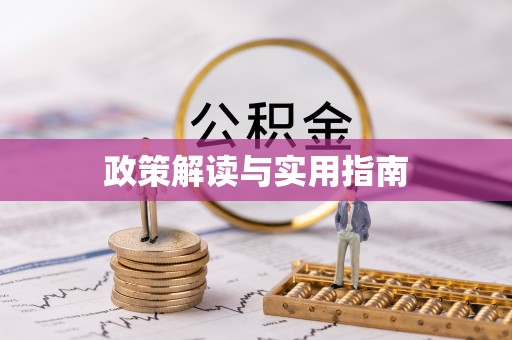 新埤政策解读与实用指南