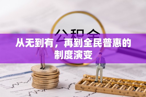 新埤从无到有，再到全民普惠的制度演变