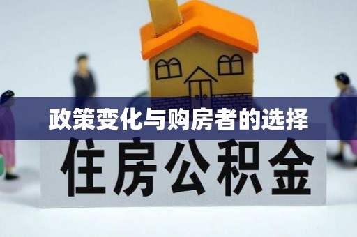 新埤政策变化与购房者的选择