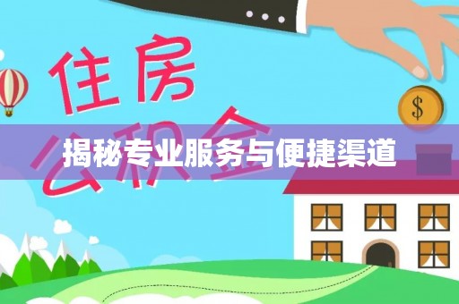 新埤揭秘专业服务与便捷渠道