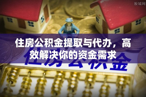 新埤住房公积金提取与代办，高效解决你的资金需求