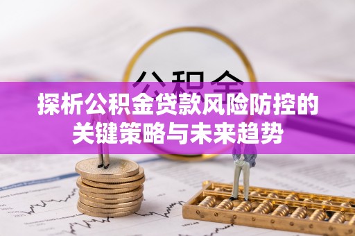 新埤探析公积金贷款风险防控的关键策略与未来趋势