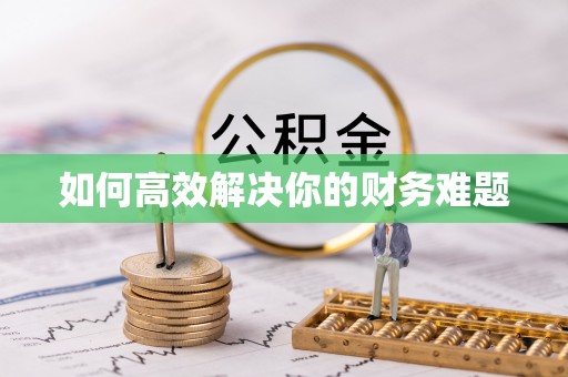 新埤如何高效解决你的财务难题
