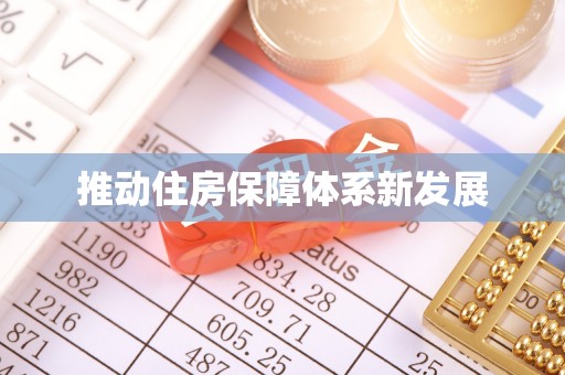 新埤推动住房保障体系新发展