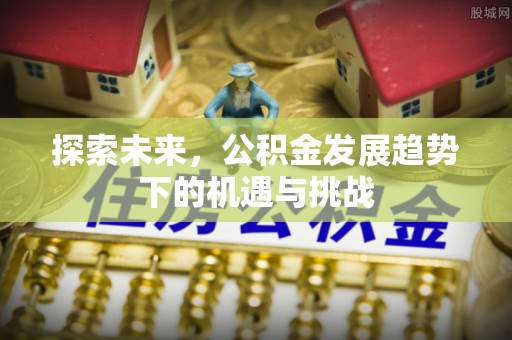 新埤探索未来，公积金发展趋势下的机遇与挑战
