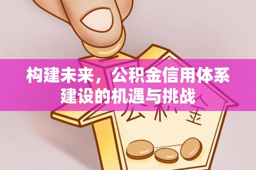 新埤构建未来，公积金信用体系建设的机遇与挑战