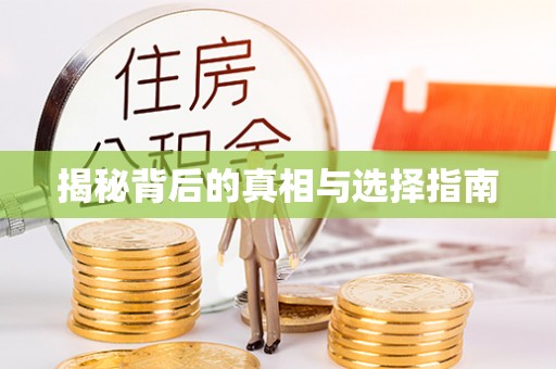 新埤揭秘背后的真相与选择指南