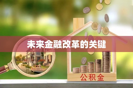 新埤未来金融改革的关键