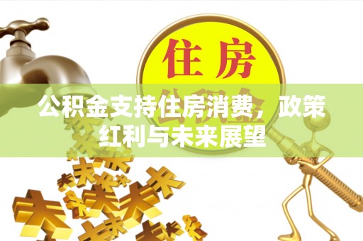 新埤公积金支持住房消费，政策红利与未来展望