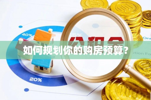 新埤如何规划你的购房预算？