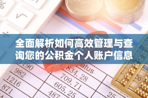 新埤全面解析如何高效管理与查询您的公积金个人账户信息