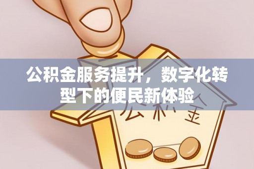 新埤公积金服务提升，数字化转型下的便民新体验