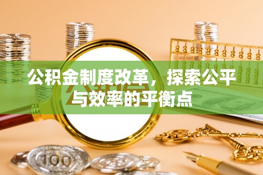 新埤公积金制度改革，探索公平与效率的平衡点