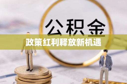 新埤政策红利释放新机遇
