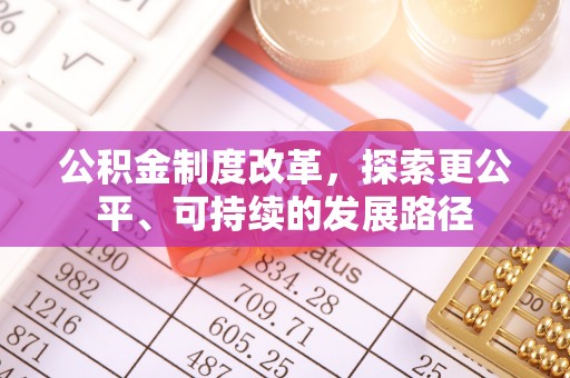 新埤公积金制度改革，探索更公平、可持续的发展路径
