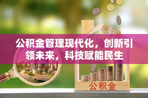 新埤公积金管理现代化，创新引领未来，科技赋能民生