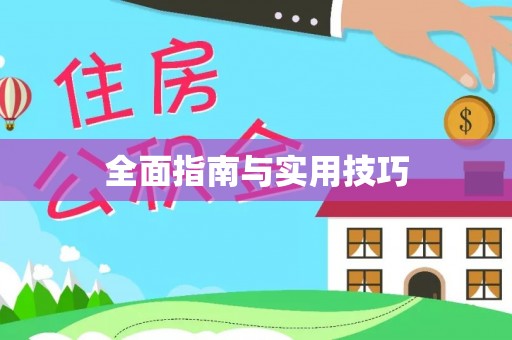 新埤全面指南与实用技巧