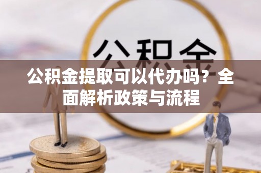 新埤公积金提取可以代办吗？全面解析政策与流程