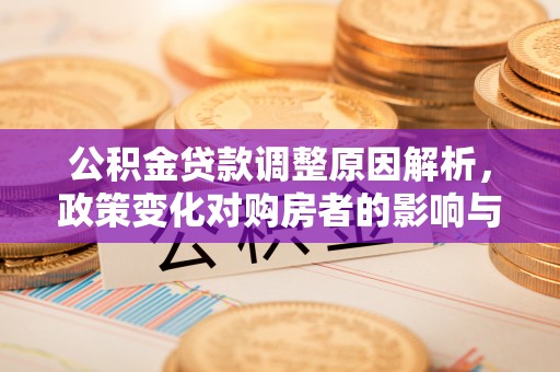 新埤公积金贷款调整原因解析，政策变化对购房者的影响与应对