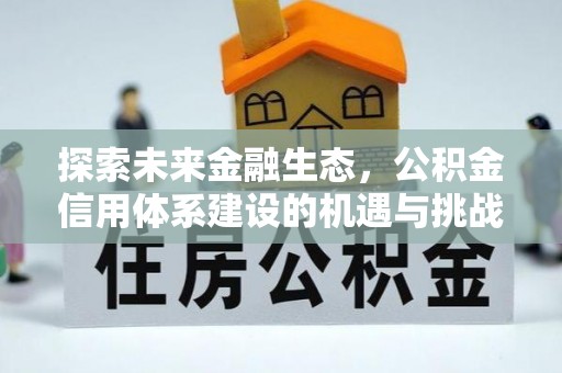 新埤探索未来金融生态，公积金信用体系建设的机遇与挑战