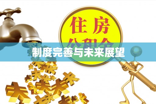 新埤制度完善与未来展望