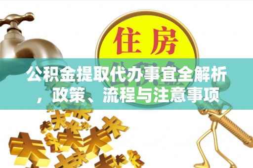 新埤公积金提取代办事宜全解析，政策、流程与注意事项