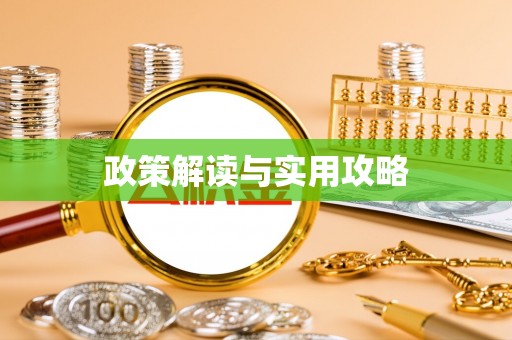 新埤政策解读与实用攻略