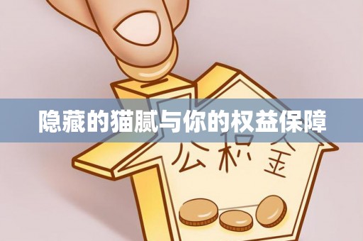 新埤隐藏的猫腻与你的权益保障