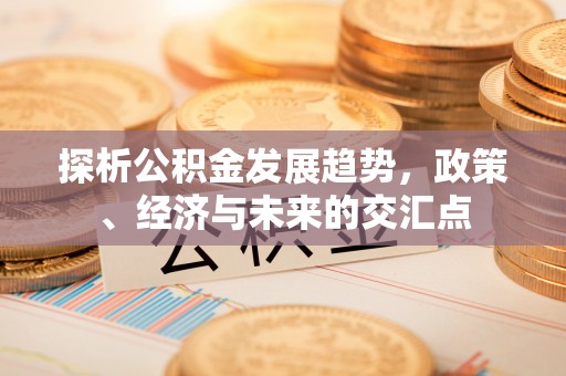 新埤探析公积金发展趋势，政策、经济与未来的交汇点