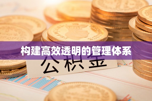新埤构建高效透明的管理体系