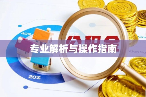 新埤专业解析与操作指南