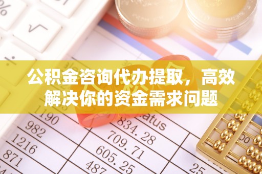 新埤公积金咨询代办提取，高效解决你的资金需求问题