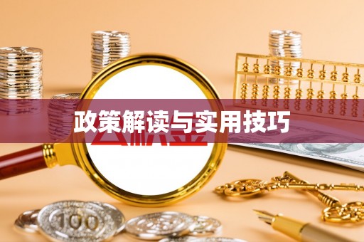 新埤政策解读与实用技巧