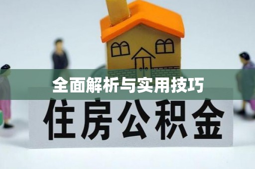 新埤全面解析与实用技巧