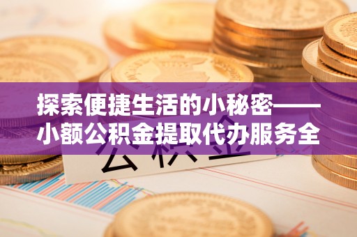 新埤探索便捷生活的小秘密——小额公积金提取代办服务全解析